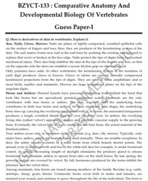 IGNOU BZYCT-133 Guess Paper Solved English Medium
