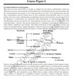 IGNOU MFN-4 Guess Paper Solved English Medium