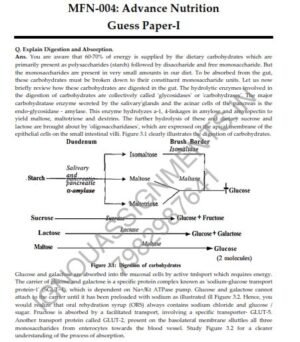 IGNOU MFN-4 Guess Paper Solved English Medium