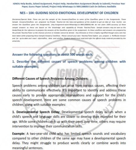IGNOU NES-104 SOLVED ASSIGNMENT 2023 ENGLISH MEDIUM (CIG)