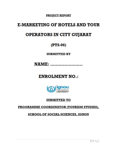 IGNOU PTS-06 Project Sample-2(E-Marketing Of Hotels And Tour Operators In City Gujarat) - Image 2