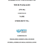 IGNOU PTS-06 Project Sample-7