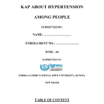IGNOU DNHE-04 Project Sample-1