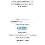 IGNOU DNHE-04 Project Sample-7