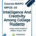 IGNOU MPCE-16 Project Sample-5