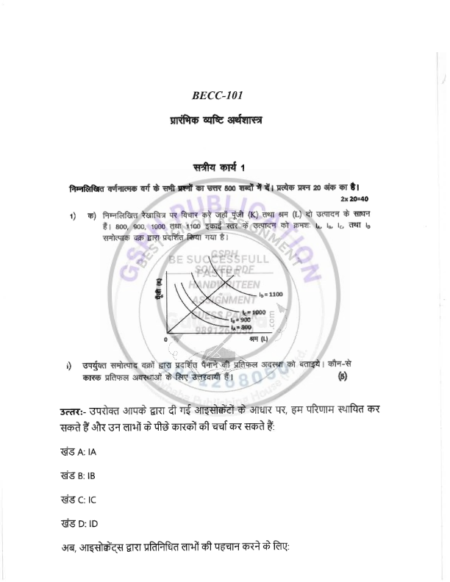 IGNOU BECC-101 Solved Assignment 2024-25 Hindi Medium