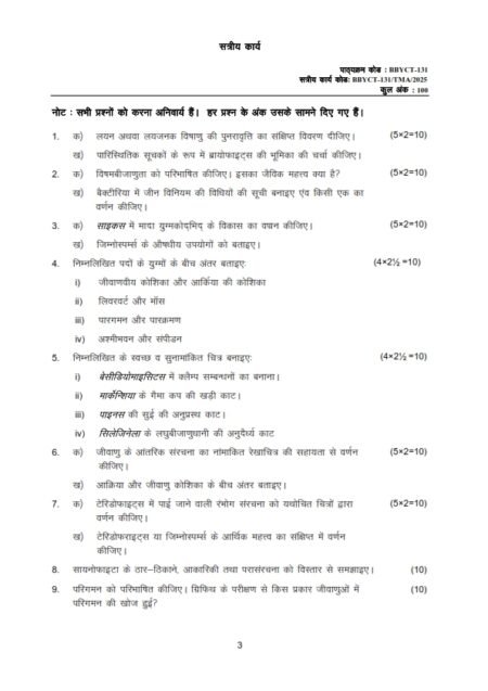 IGNOU BBYCT-131 Solved Assignment 2025 Hindi Medium