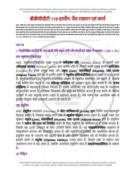 IGNOU BBCCT-119 Solved Assignment 2025 Hindi Medium - Image 3