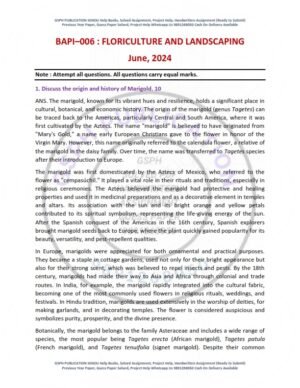 IGNOU BAPI-06 Previous Year Solved Question Paper English Medium (JUNE 2024)
