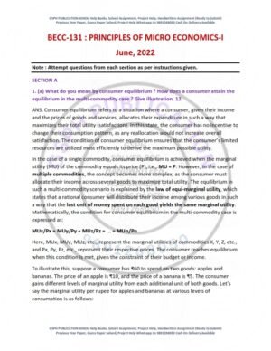 IGNOU BECC-131 Previous Year Solved Question Paper English Medium (JUNE 2022)